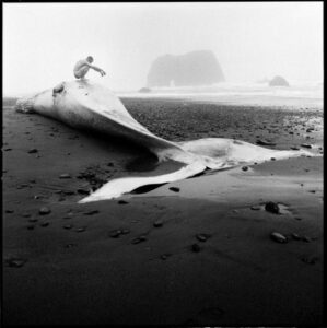 Literary Categories are So Last Century Image